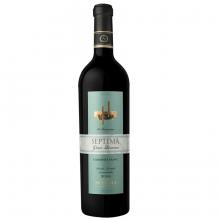 Vinho Septima 10 Barricas Gran Reserva Cabernet Franc 750 ml